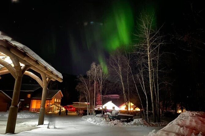 Chena Hot Springs Round Trip Tour - Food and downtime: plan for a quick lunch, not a full escape