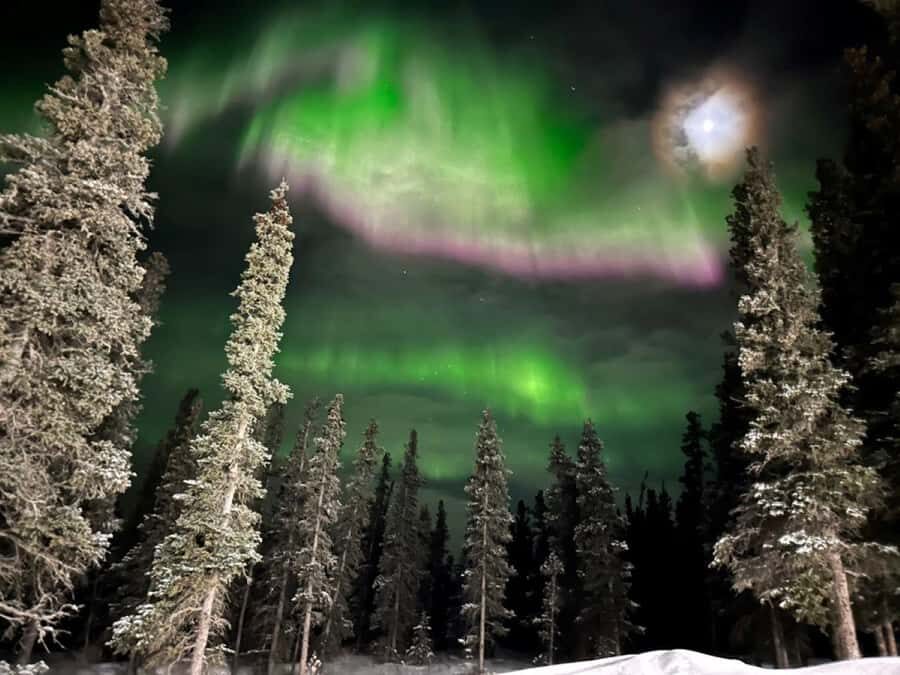 Denali National Park: Full-Day Fairbanks-Denali Adventure - Lunch in Healy and how to plan your energy