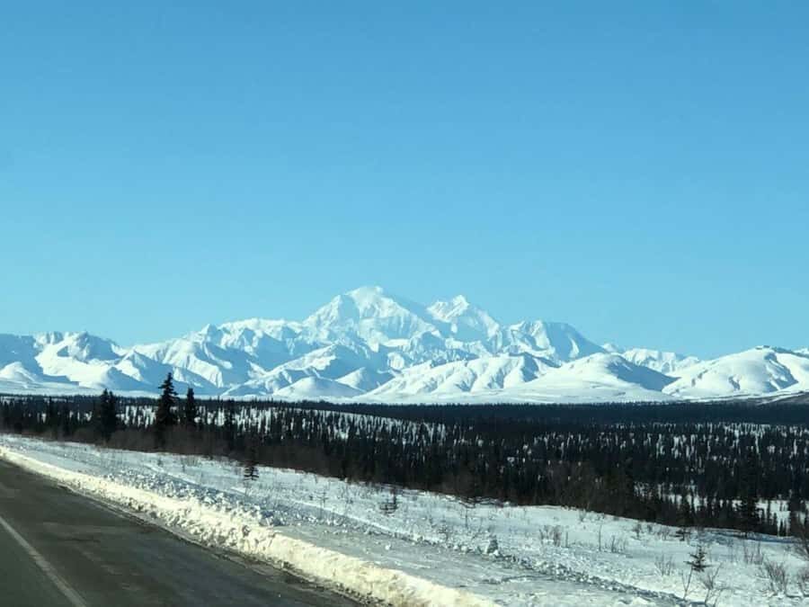Denali National Park: Full-Day Fairbanks-Denali Adventure - Guides, group feel, and why two guides can matter