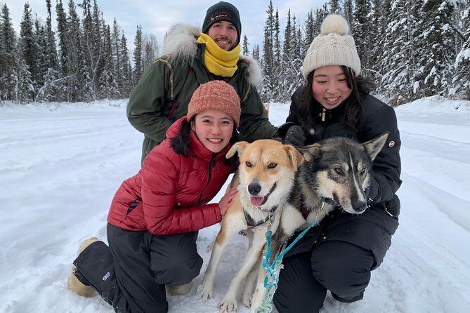 Dog Sledding and Mushing Experience in North Pole - Key things to know before you go