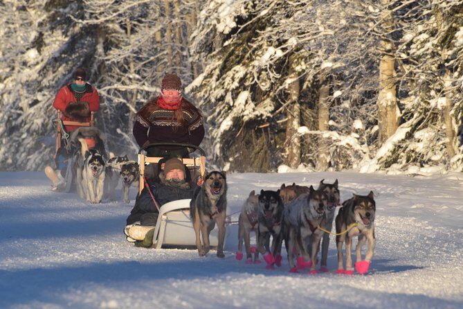 Dog Sledding and Mushing Experience in North Pole - From Rod’s Alaskan Guide Service to the five-mile sled run