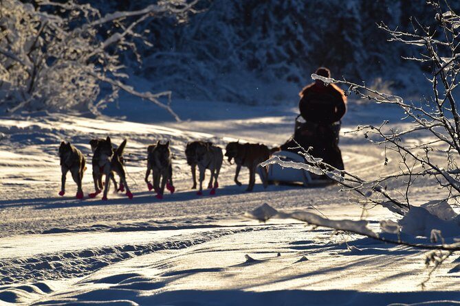 Dog Sledding and Mushing Experience in North Pole - Gear matters more than you think (and they handle it for you)