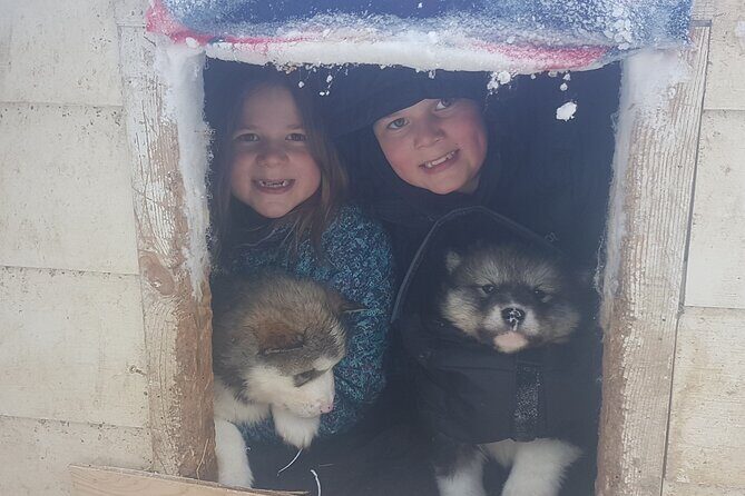 Dogsled Adventure in Fairbanks with Homestead tour - Warming Up in the Geodesic Dome With Hot Cocoa