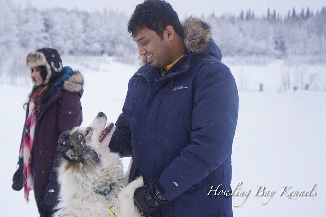 Dogsled Adventure in Fairbanks with Homestead tour - Arrival and Getting Geared Up Before You Hit the Trail