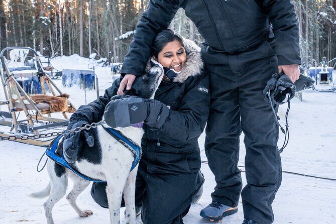 Dogsled and Reindeer Day Trip to Borealis Basecamp - Who This Tour Fits Best