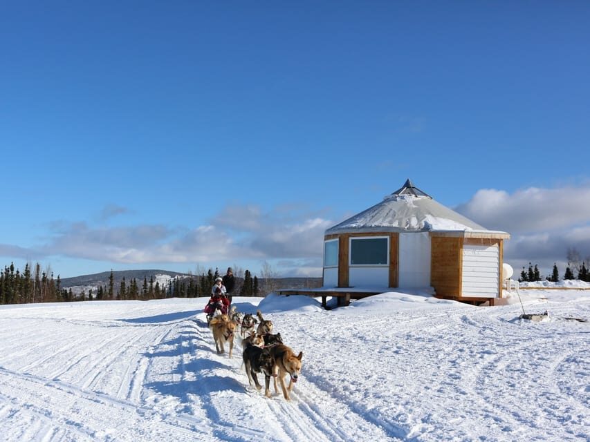 Fairbanks: 1-Hour Alaskan Winter Dog Sledding Adventure - The 1-Hour Sled Ride: What You’ll Feel and See
