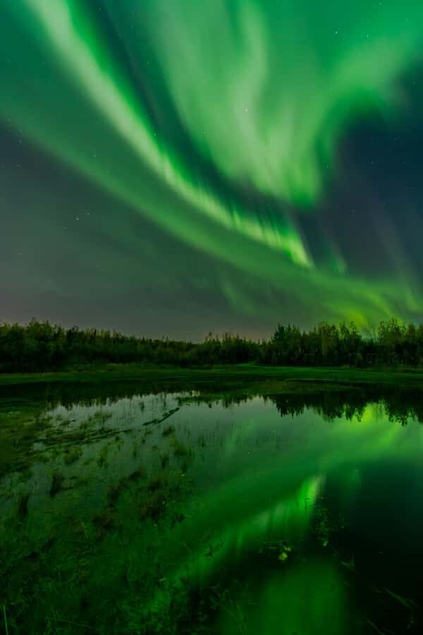 Fairbanks: Aurora Borealis Northern Lights Tour - Forecasting Turns Guessing Into a Real Plan