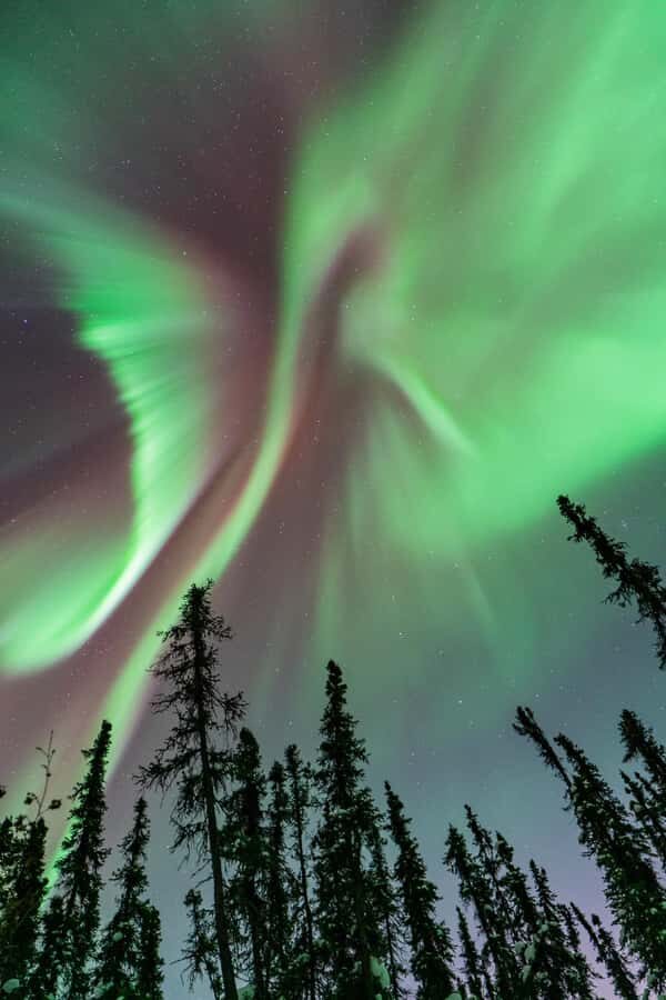 Fairbanks: Aurora Borealis Northern Lights Tour - Your Night Starts With Smart Timing and a Comfortable Ride