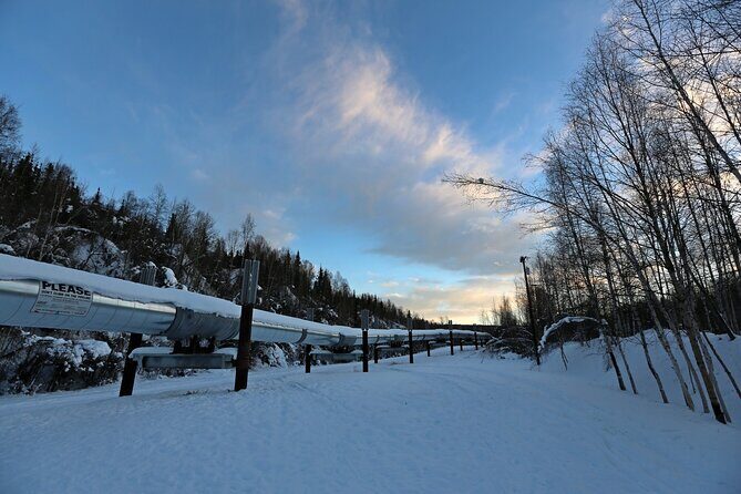 Fairbanks Autumn/Winter City Tour - Santa Claus House in North Pole: a fun stop with real timing limits