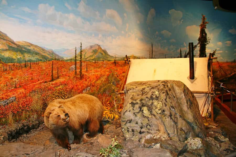Fairbanks City Tour - The vibe: a half-day that blends big stories and small moments
