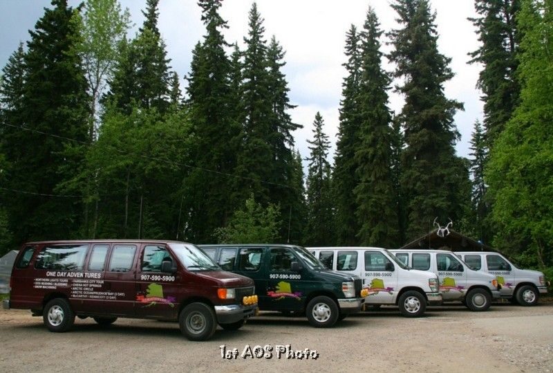 Fairbanks – Denali Shuttle Service - Key Things I’d Watch For
