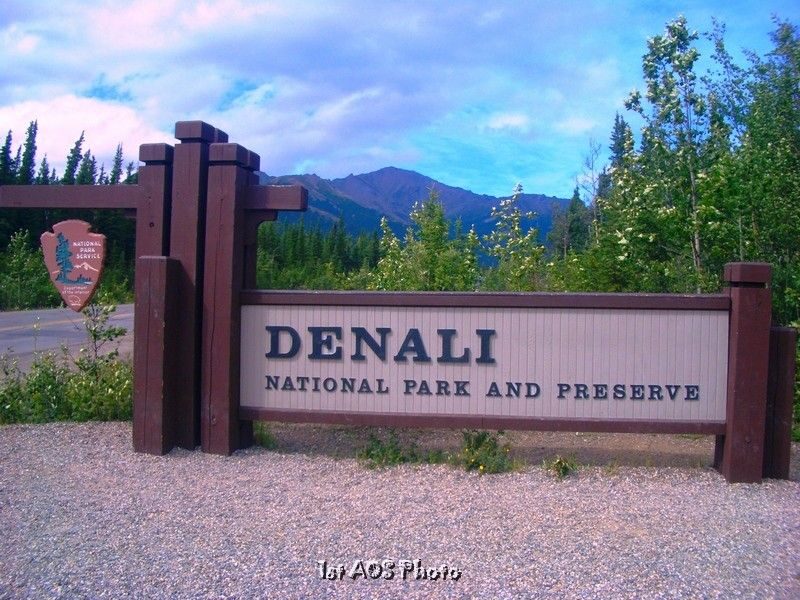 Fairbanks – Denali Shuttle Service - What the Ride Feels Like in Real Terms