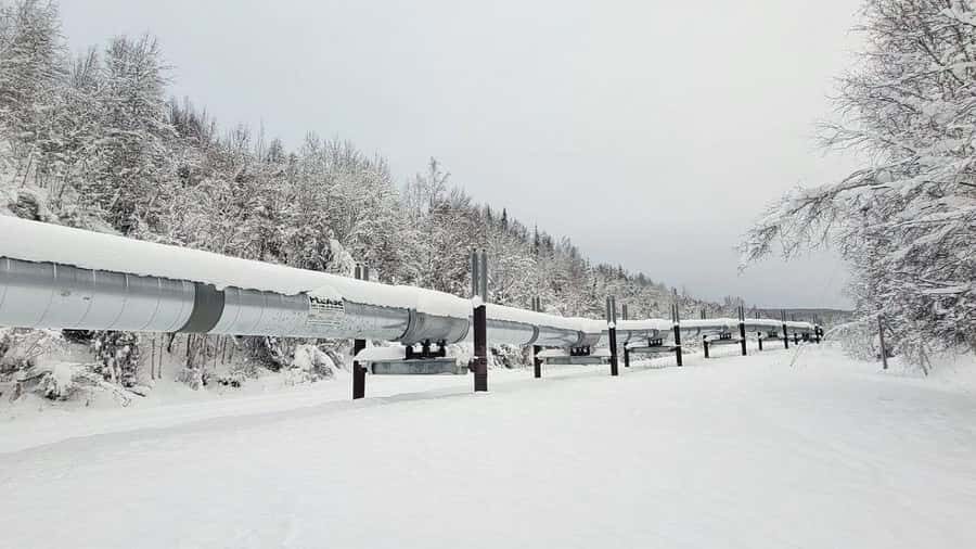 Fairbanks Heritage Tour - Trans-Alaska Pipeline Up Close: How Engineering Changed the State