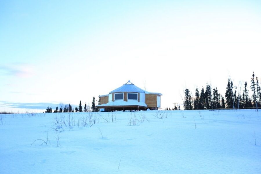 Fairbanks: Moonlight Dog Sled, Dinner & Northern Lights - The Timing and Stops You’ll Notice on the Ground