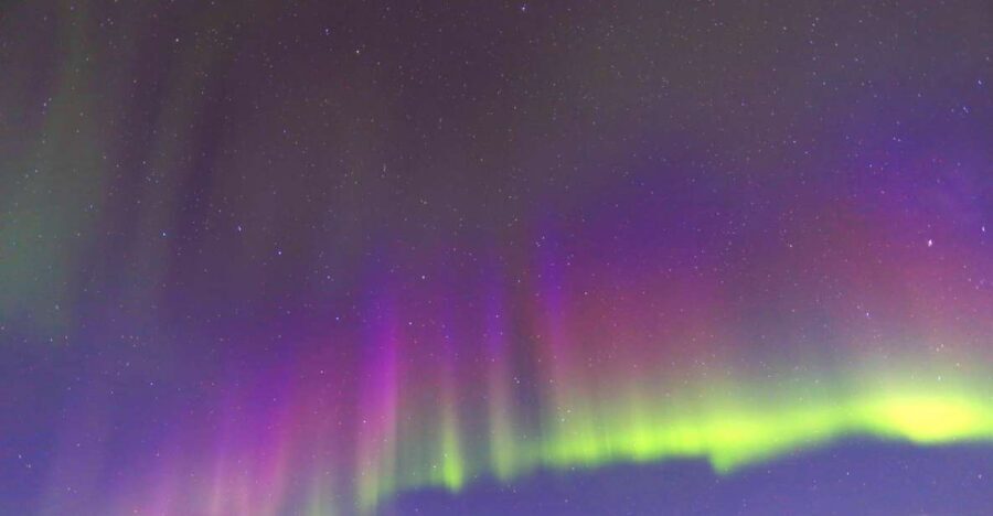 Fairbanks: Moonlight Dog Sled, Dinner & Northern Lights - The Moonlight Dog Sled Ride: Thrilling, Cold, and Worth It