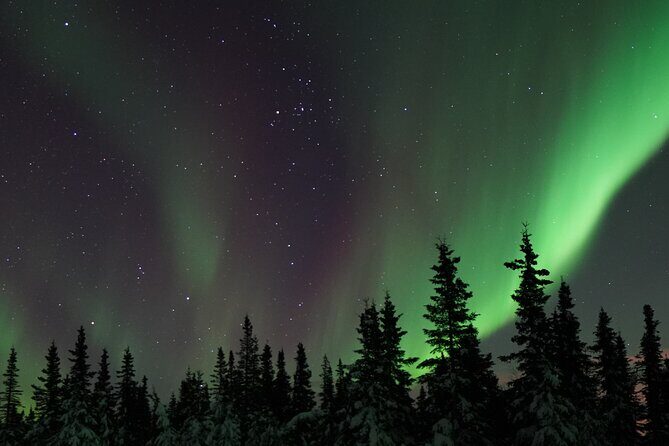 Fairbanks Northern Lights Adventure with free Aurora portraits - Key points before you go