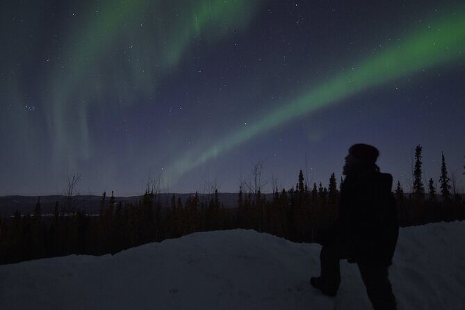 Fairbanks Northern Lights Adventure with free Aurora portraits - Price and value: why $220 can feel fair here