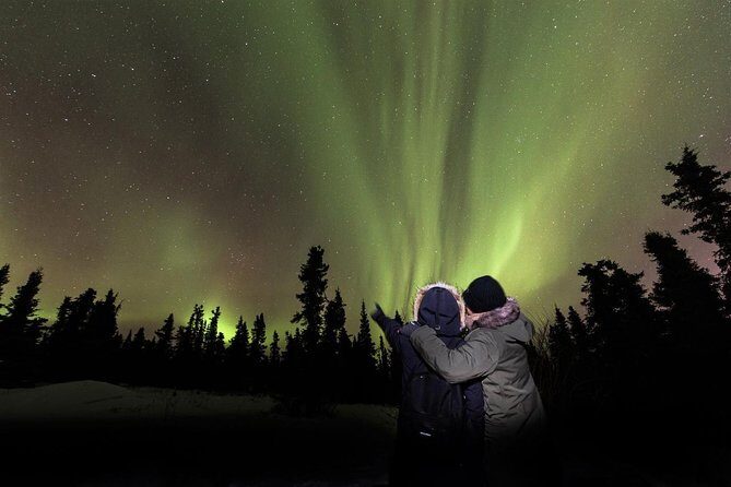 Fairbanks Northern Lights Tour - Key highlights you’ll feel right away
