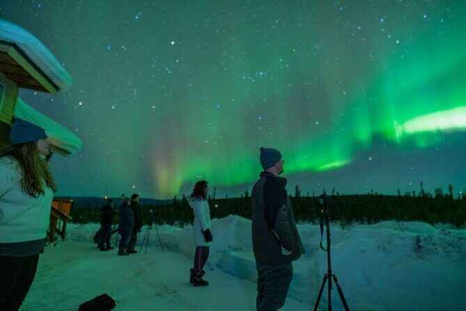 Fairbanks Northern Lights Tour - Cabin fire vs road-chasing: what your night can look like