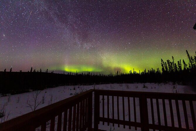 Fairbanks Northern Lights Tour - Your guide’s real job: finding clear sky fast