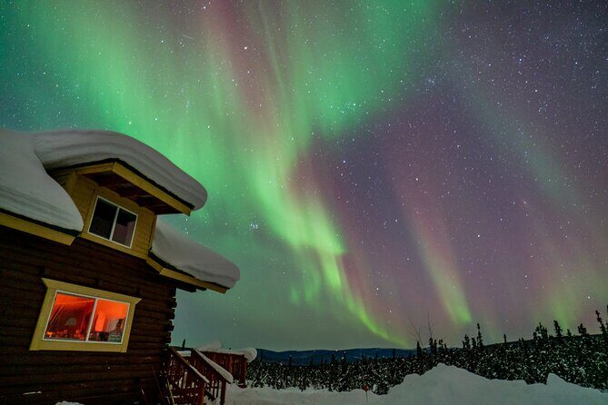 Fairbanks Northern Lights Tour - Price and value: what $354.25 buys you for an 8-hour night