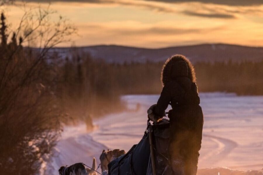 Fairbanks: Private Mush on the Historic Yukon Quest Trail - Private mushing: what the small-group format really changes