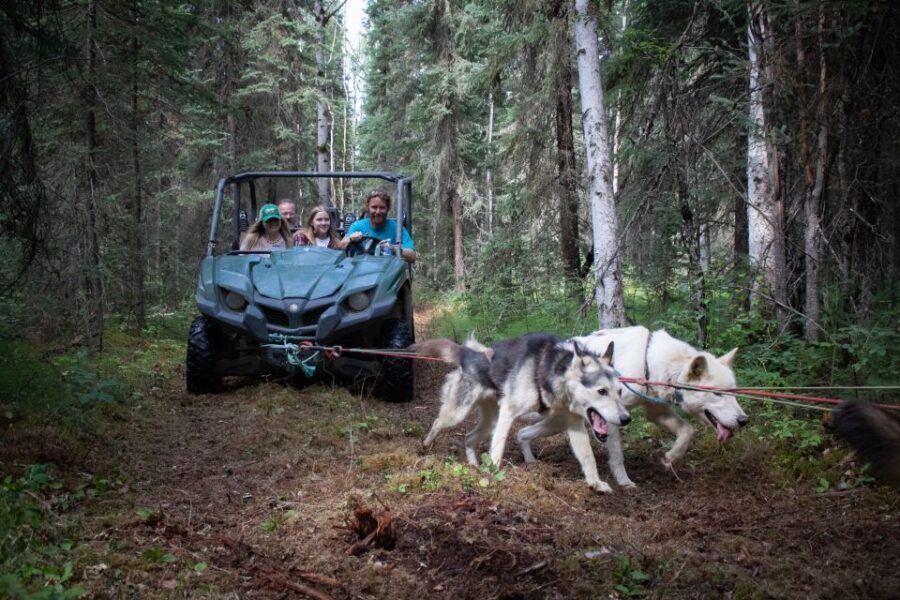 Fairbanks: Summer Mushing Cart Ride and Kennel Tour - Key Highlights You Should Actually Care About