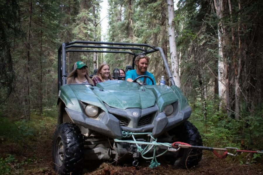Fairbanks: Summer Mushing Cart Ride and Kennel Tour - Who This Tour Suits Best (And Who Might Want Something Else)