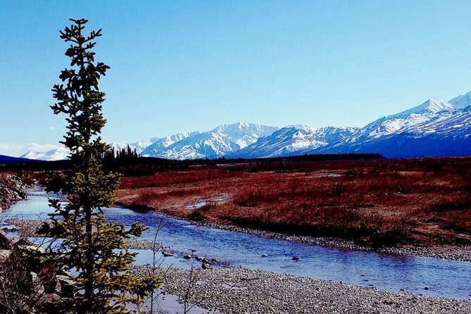 Fairbanks to Denali Shuttle Service - What You’ll See Through the Window: Narration and Wildlife Stops