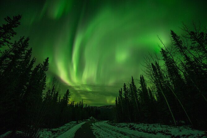 Fall Aurora Mushing Cart Ride Bucket List Adventure - Key Highlights to Know Before You Go