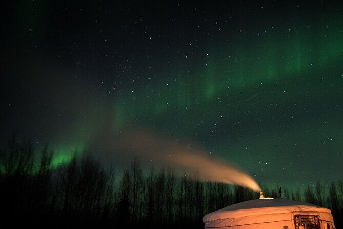 Fall Aurora Mushing Cart Ride Bucket List Adventure - Side-by-Side Mushing Cart Ride: What This Experience Feels Like