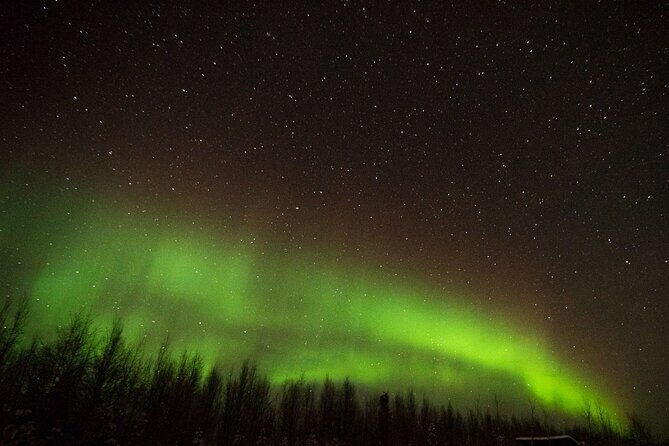Fall Aurora Mushing Cart Ride Bucket List Adventure - Northern Lights Reality Check: How to Enjoy It Even Without Lights
