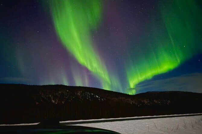 Fire & Ice: Chena Hot Springs, Ice Museum + Aurora Adventure - Key highlights you’ll care about