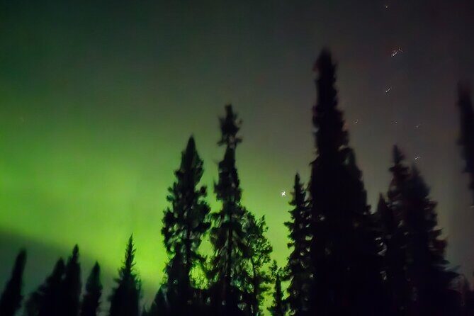 Fire & Ice: Chena Hot Springs, Ice Museum + Aurora Adventure - Who should book this Chena and aurora night tour