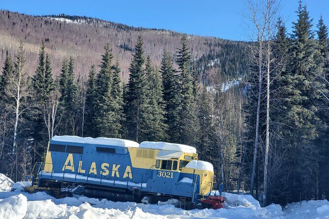 Fire & Ice: Chena Hot Springs, Ice Museum + Aurora Adventure - The guides: why Gina and Christopher keep showing up in the right places