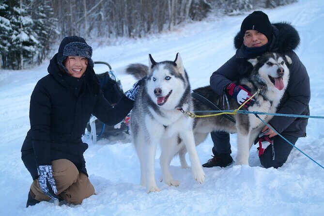 Free Pickup/Drop off: Alaskan Husky Dog Sledding with Free Photo - How the day works: free pickup, the warm-up cabin, and the restroom reality