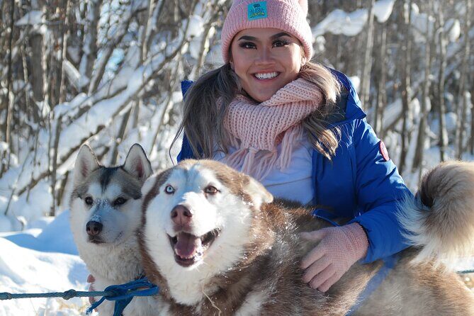 Free Pickup/Drop off: Alaskan Husky Dog Sledding with Free Photo - Price and value check: why $199 can feel fair (or not) depending on you