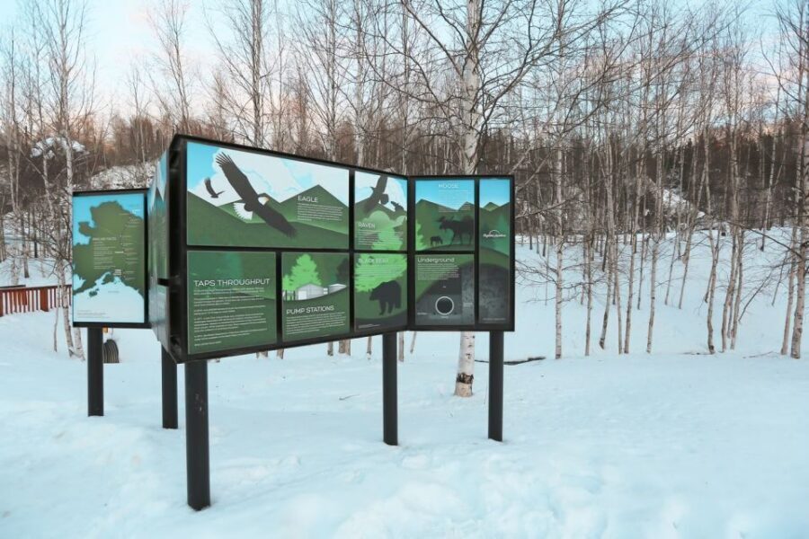 From Fairbanks: Arctic Circle Northern Lights Full-Day Trip - From Fairbanks At 1 PM: Setting Expectations for a 14-Hour Arctic Day