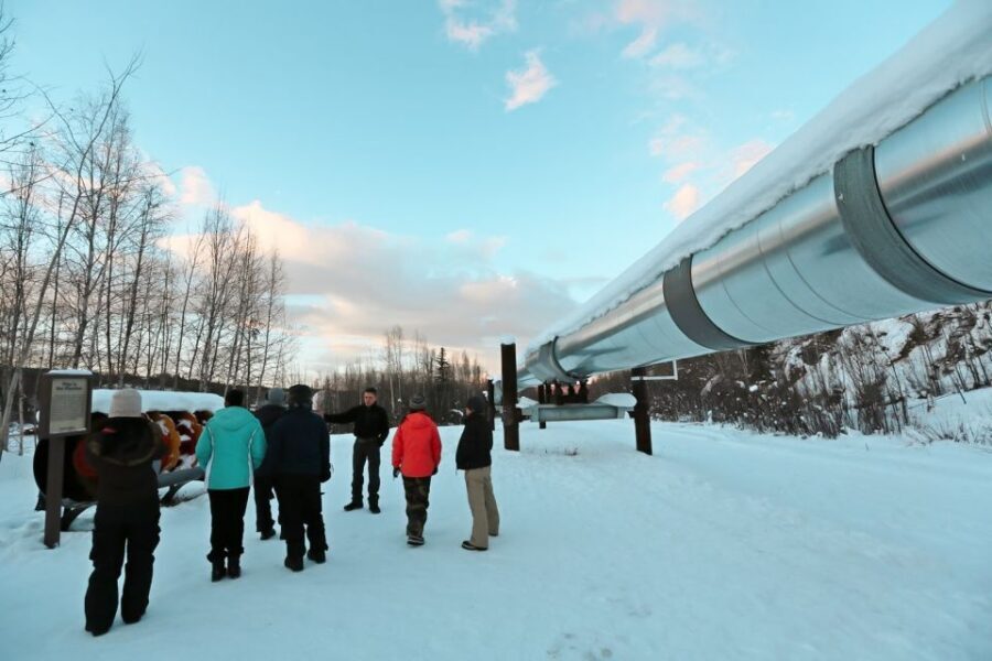 From Fairbanks: Arctic Circle Northern Lights Full-Day Trip - Trans-Alaska Pipeline Stop: Seeing an 800-Mile Engineering Story Up Close