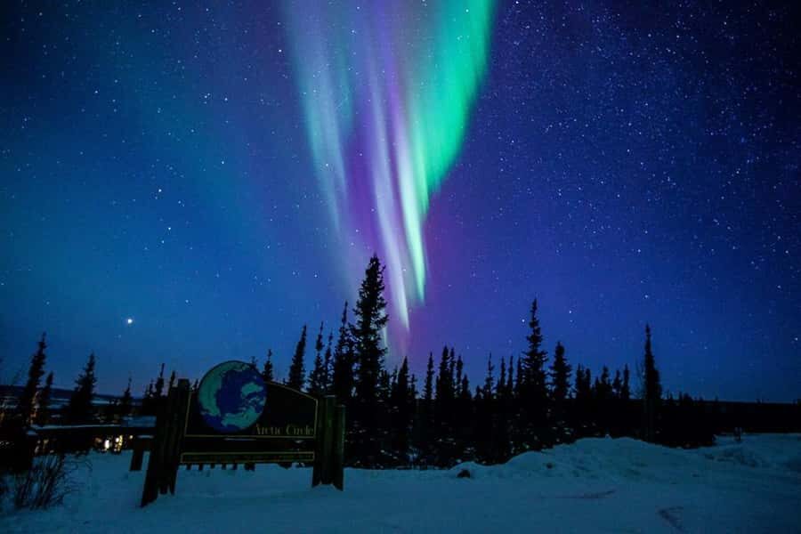 From Fairbanks: Northern Lights and Arctic Circle Tour - Key Things I’d Be Thinking About Before You Go
