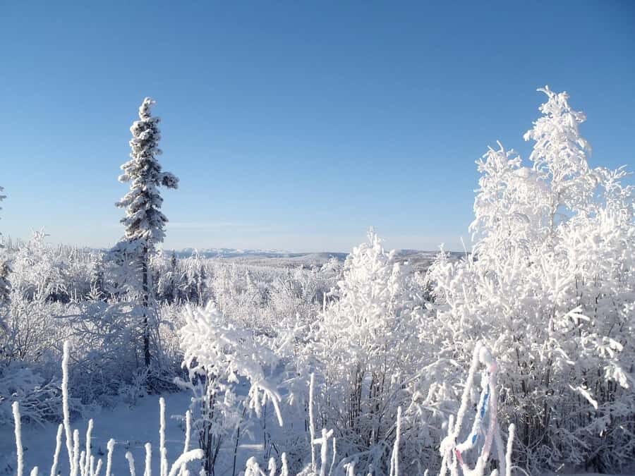 From Fairbanks: Northern Lights and Arctic Circle Tour - The Dalton Highway Run: Why This Day Feels Bigger Than a Day