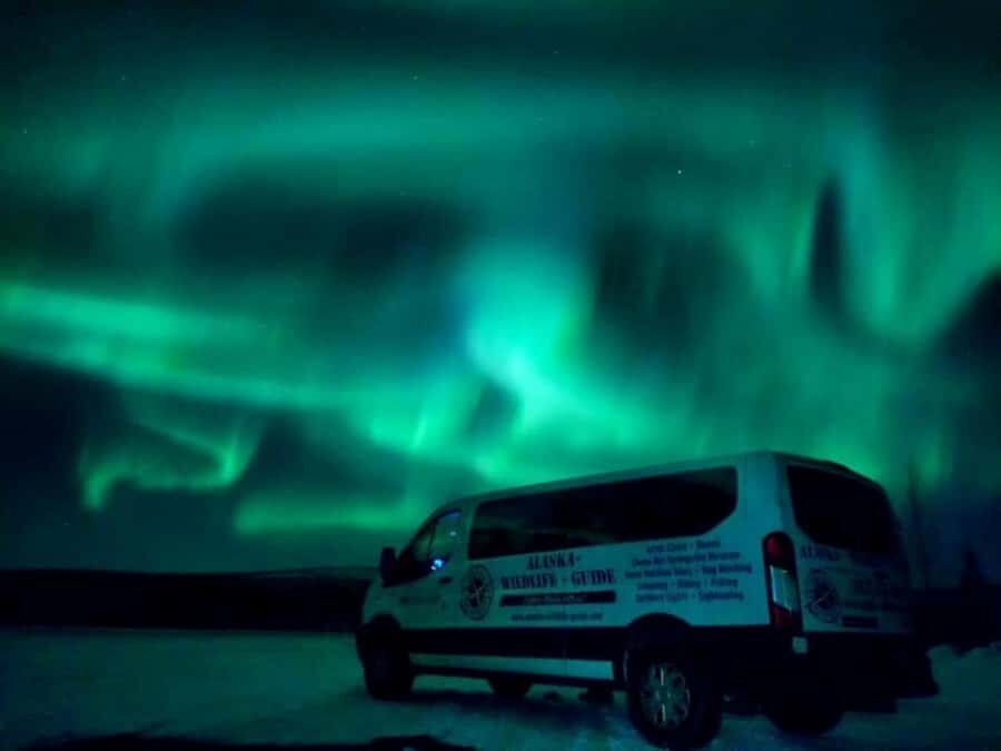 From Fairbanks: Northern Lights and Arctic Circle Tour - From Fairbanks Toward the Arctic Circle: Pickup and the Start That Sets the Tone