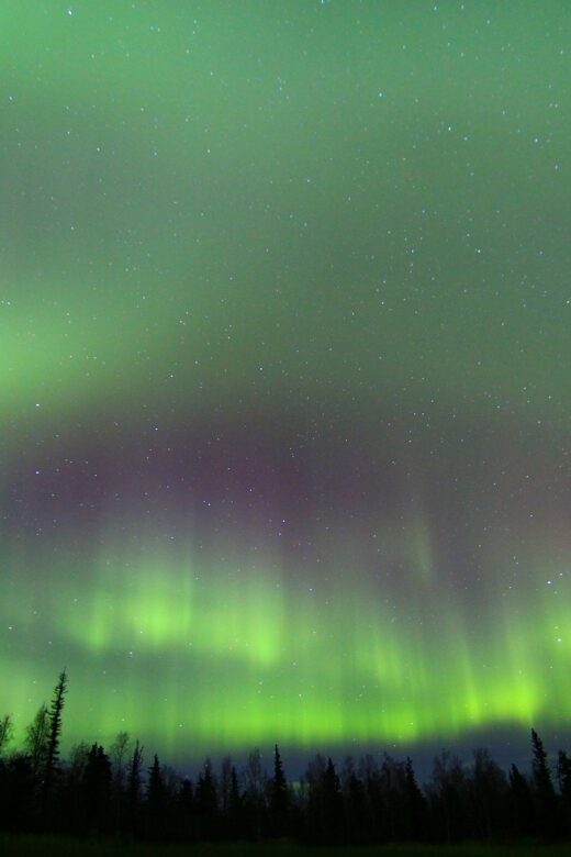 From Fairbanks: Northern Lights & Murphy Dome Tour - Quick hits before you go