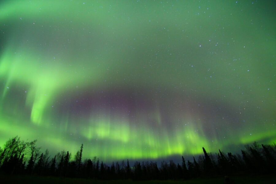 From Fairbanks: Northern Lights & Murphy Dome Tour - The van ride, the guide, and staying warm without overthinking it