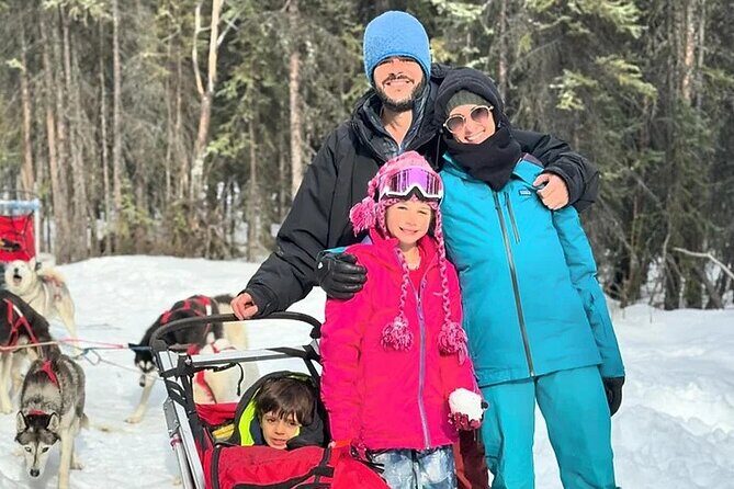 Full Day "Drive Your Own Dog Team" Dog Sledding Tour - The Route: Old-Growth Boreal Forest Miles and Ridge-Top Views