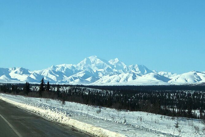 Full Day: Fairbanks to Denali Winter Adventure & SHERP Tour - Quick hits: what makes this Denali winter SHERP day stand out