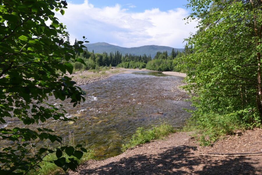 Full Day Ice Museum and Chena Hot Springs Tour - From Fairbanks pickup to a 6:30 PM return