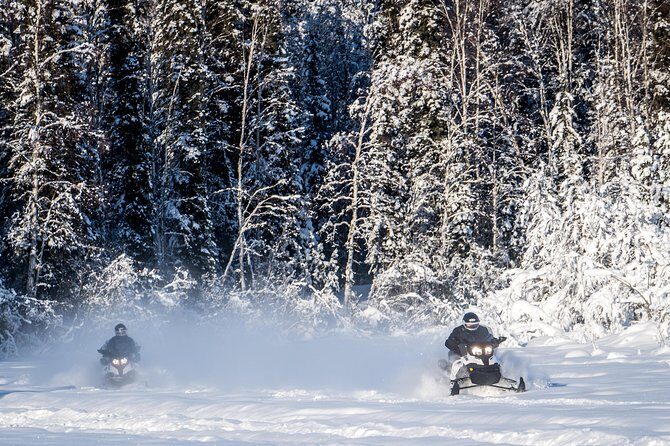 Guided Fairbanks Snowmobile Tour - Riding Ski Doo luxury touring snowmobiles: comfort in a cold place
