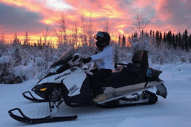 Guided Fairbanks Snowmobile Tour - Price and value: is $169 fair for a guided hour?