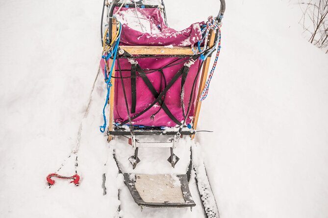 Half Day "Drive Your Own Dog Team" Dog Sledding Tour - The Pre-Trip Lesson: From Standing Around to Actually Driving